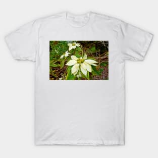 Kula Botanical Gardens Study 21 T-Shirt